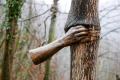 Giuseppe Penone, l'energia della natura
